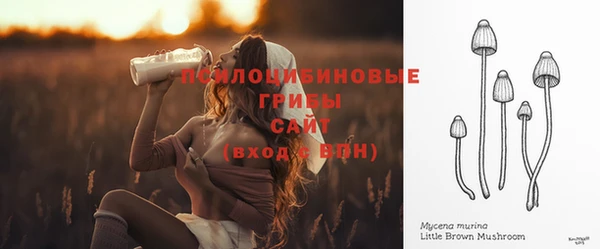 прущий лед Алексин