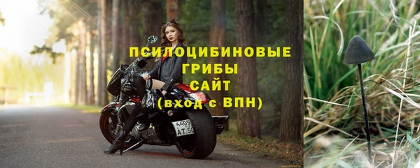 прущий лед Алексин