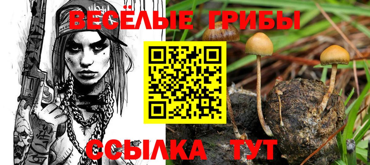 Галлюциногенные грибы Psilocybine cubensis Урюпинск